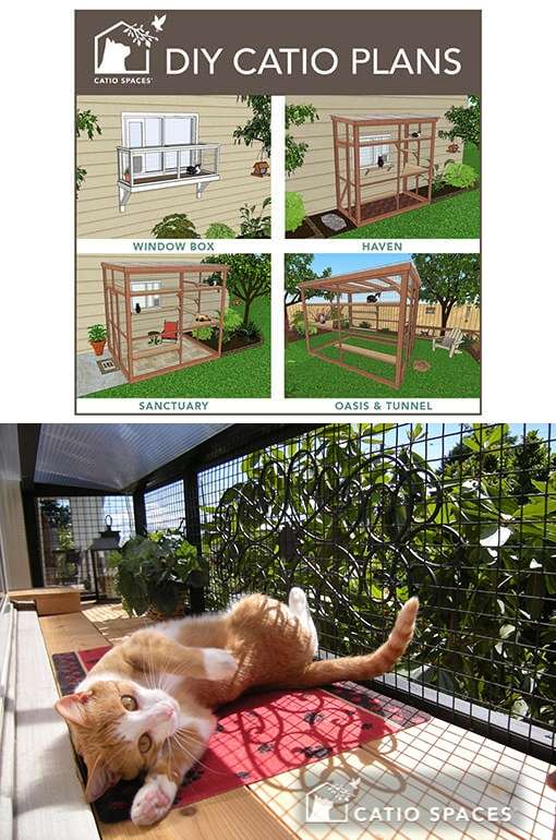 Purchase a DIY Catio Plan using code BCHS2003 and 10% will come back to us as a donation