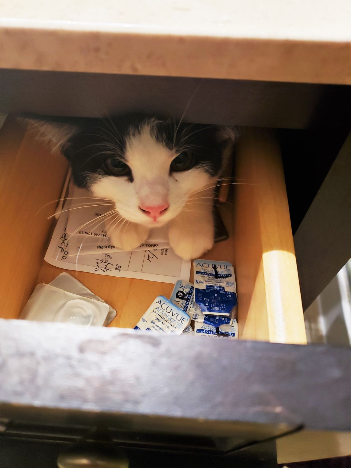 black and white cat squeezed into a bathroom vanity cabinet drawer.