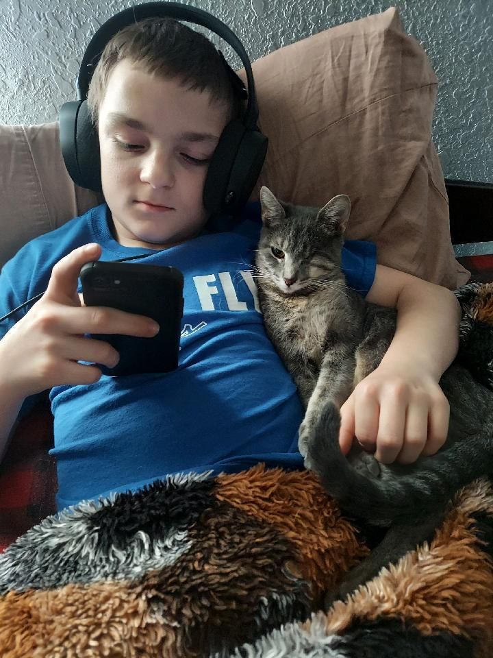 boy wears headphones, looks at mobile phone, while cuddling gray striped Luna cat