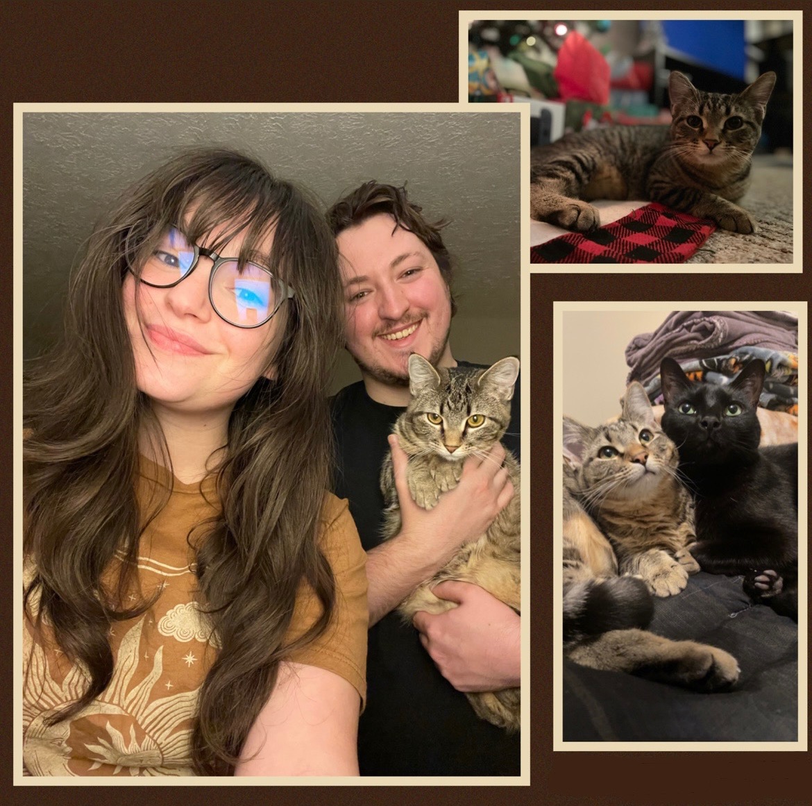 collage of three photos, young woman and man with brown striped cat, striped cat under christmas tree, and brown cat snuggles with a black cat in front of a folded pile of laundry