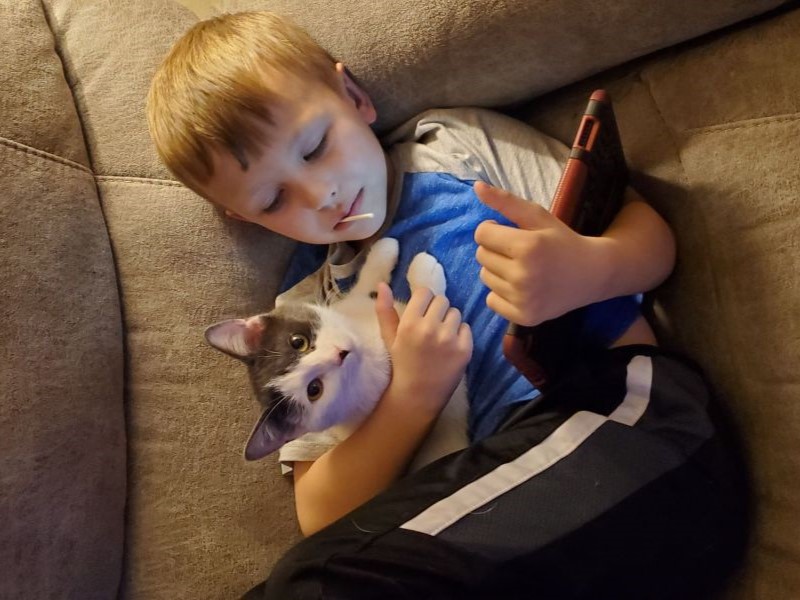 boy reading his tablet while holding gray and white cat