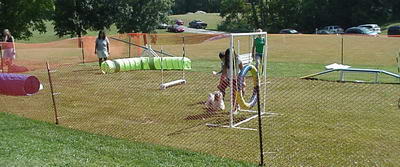 Agility Course at 2009 Paws in the Park