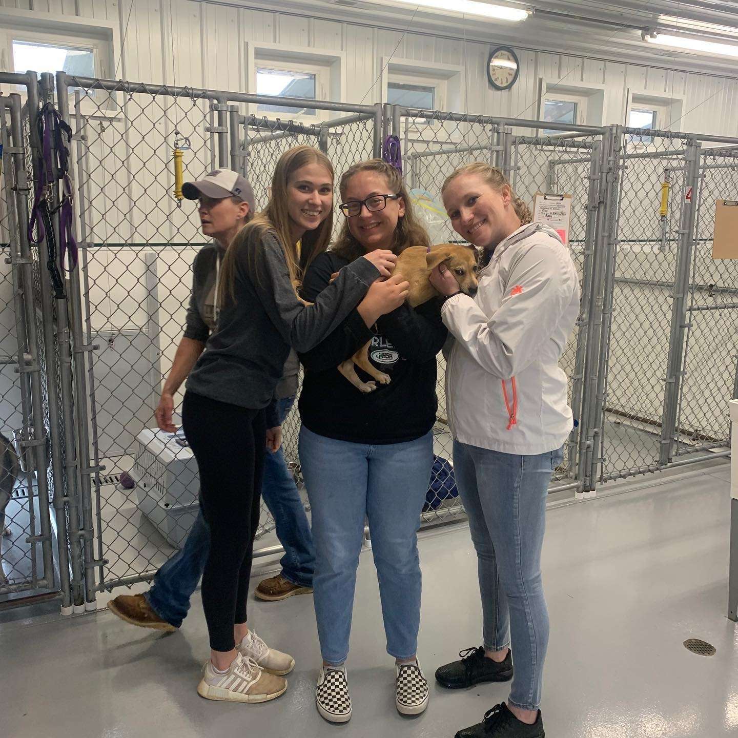 three teenage girls stand and snuggle a yellow puppy