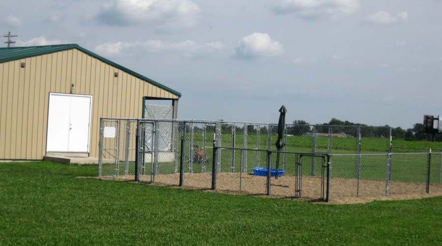 Playtime Enclosure for Dogs and Puppies ready for summer activities
