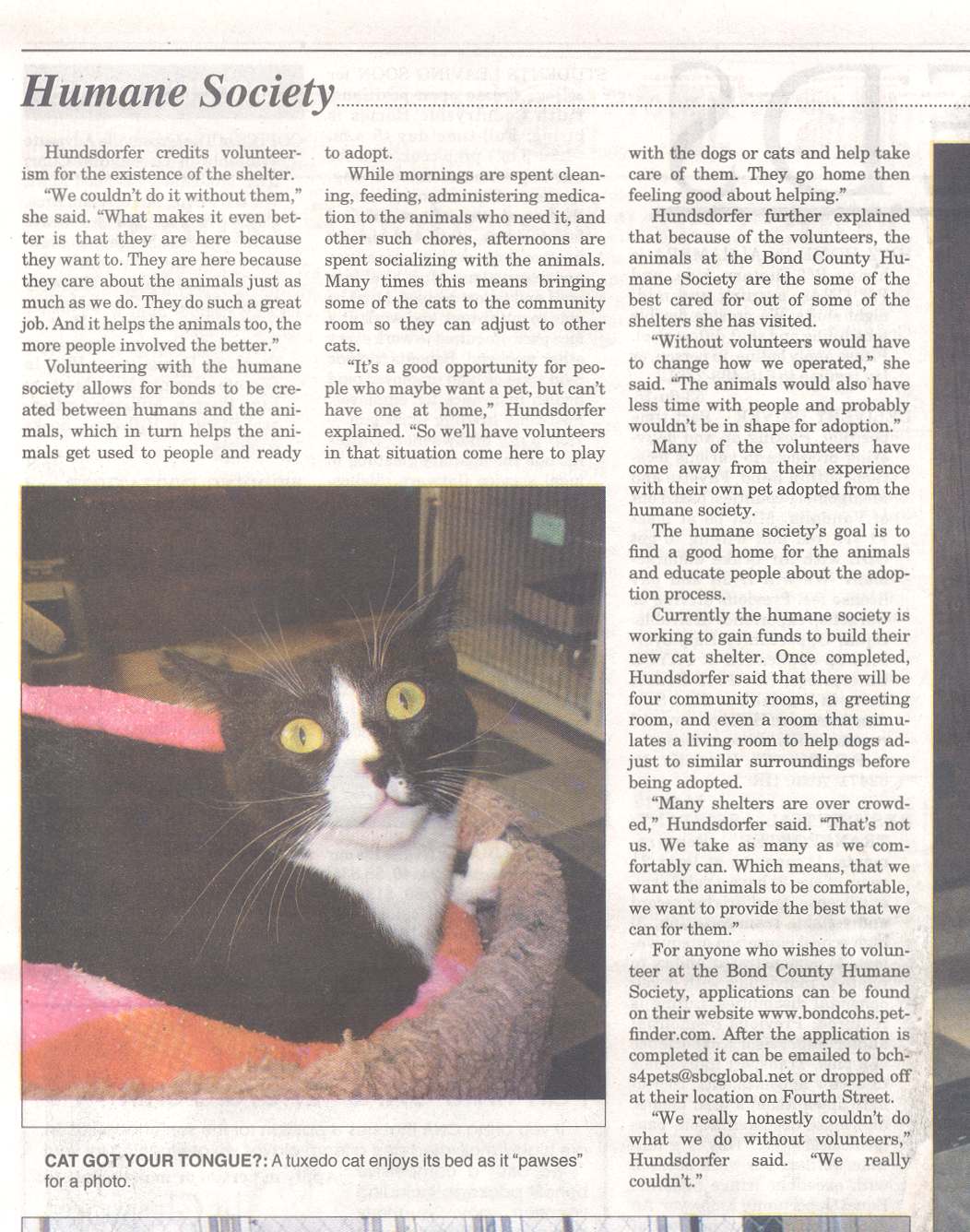 Article part 2 with photo of tuxedo cat in community cat room