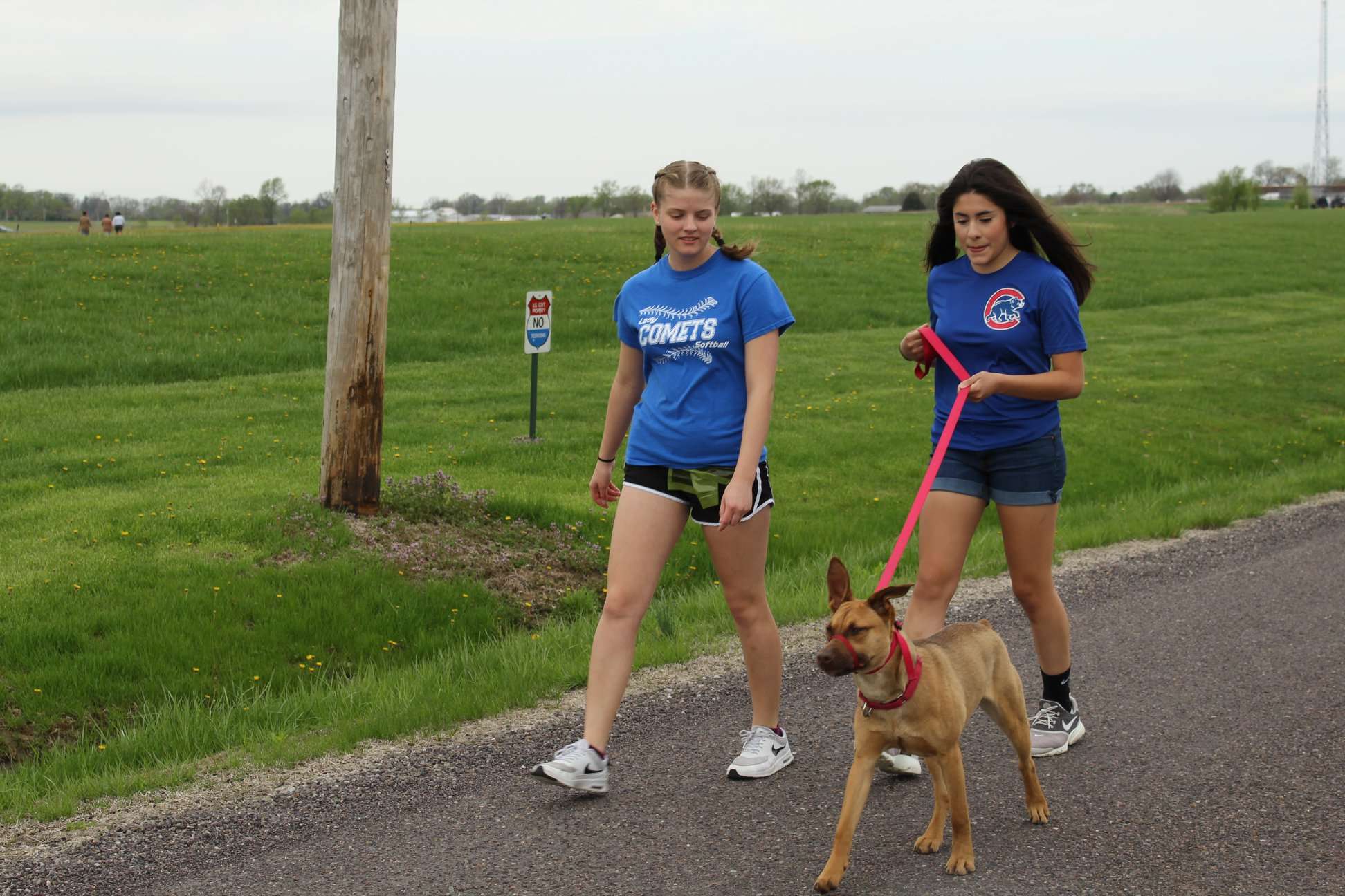 GHS Students Walking Shelter Dogs