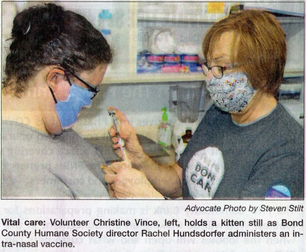 Volunteers vaccinate a kitten
