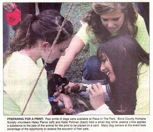 Photo - BCHS volunteers prepare a small dog for his paw print arts and crafts keepsake