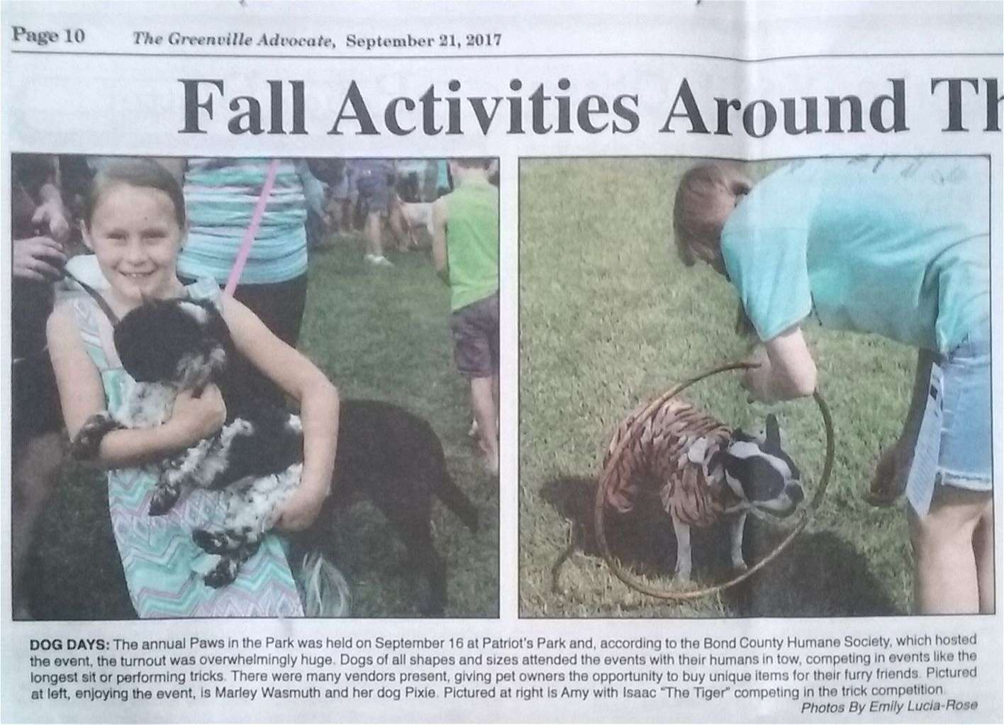 Dogs and Owners enjoying the park