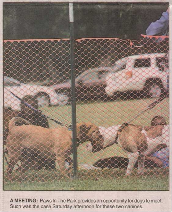 Photo - dogs get to meet new friends at Paws In The Park day