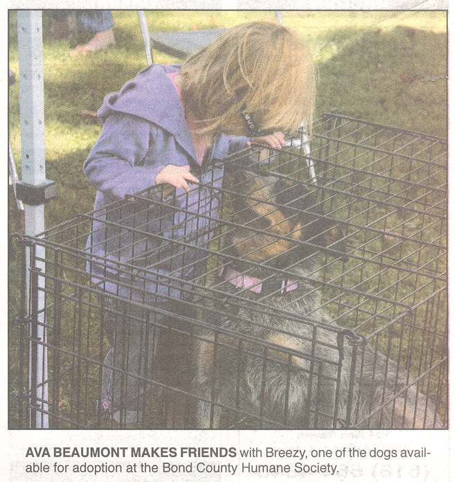 Kids meet adoptable dogs