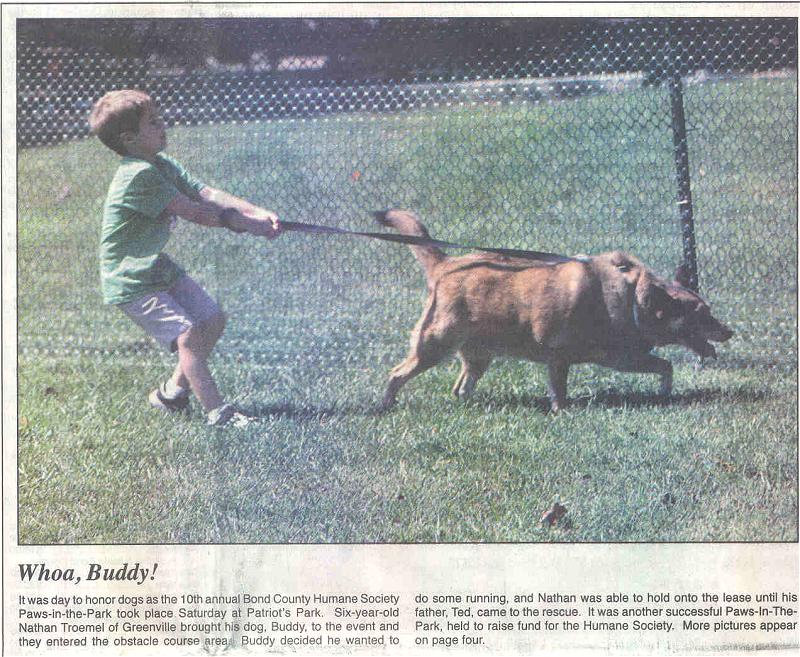 Photo - dog pulls boy across the park