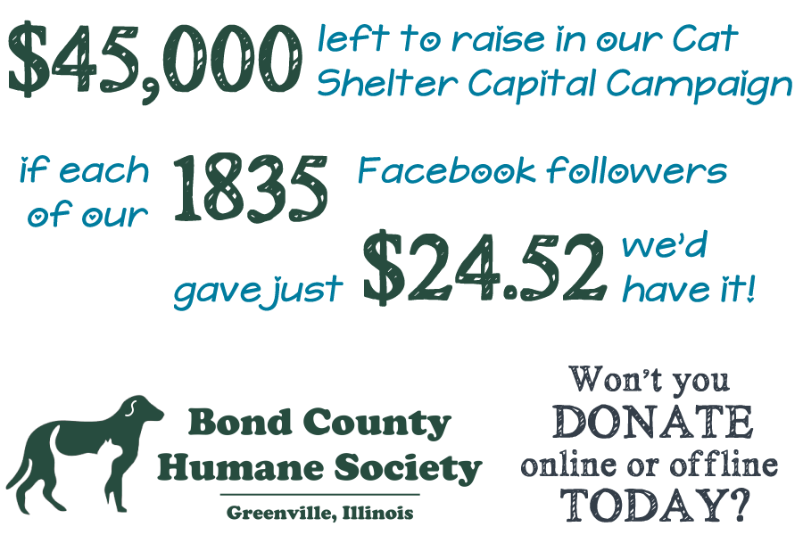 infographic, $24.52 donated by each of our 1835 facebook followers, we'd raise the last $45k