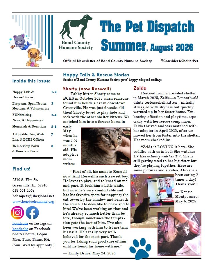 Screenshot of front page of current issue