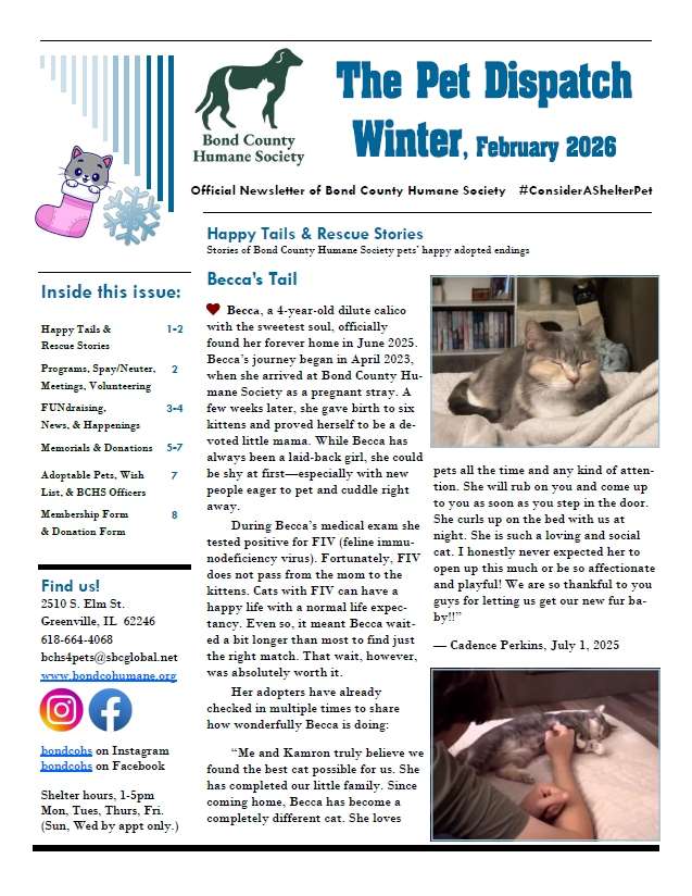 Current Issue features A Rescue Story and Happy Tail for cat Becca