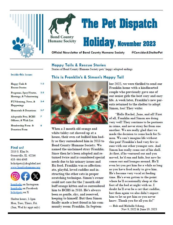 Current Issue features A Rescue Story and Happy Tail for cats Simon and Franklin plus dog Daisy