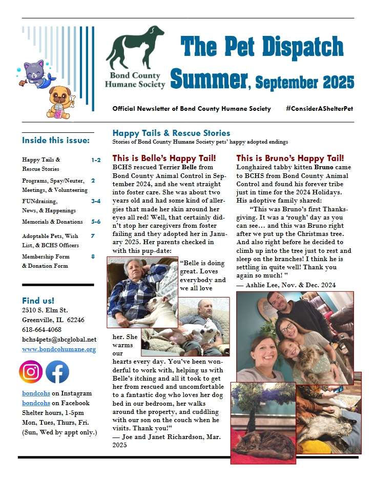 Current Issue features A Rescue Story and Happy Tail for dog Belle plus cat Bruno