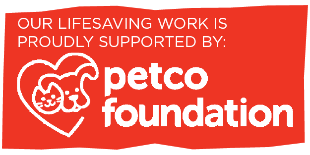logo - Grants for Cat Shelter Construction include Petco Foundation