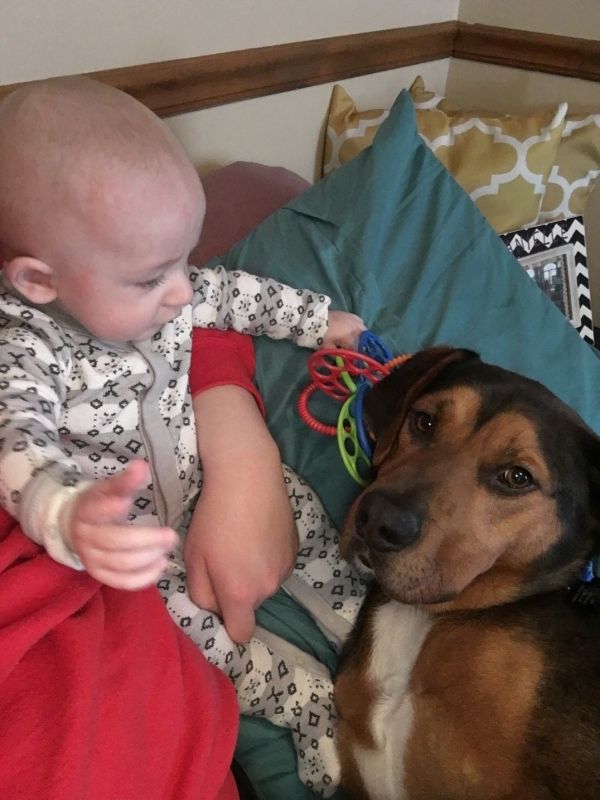 Sweet puppy loves babies