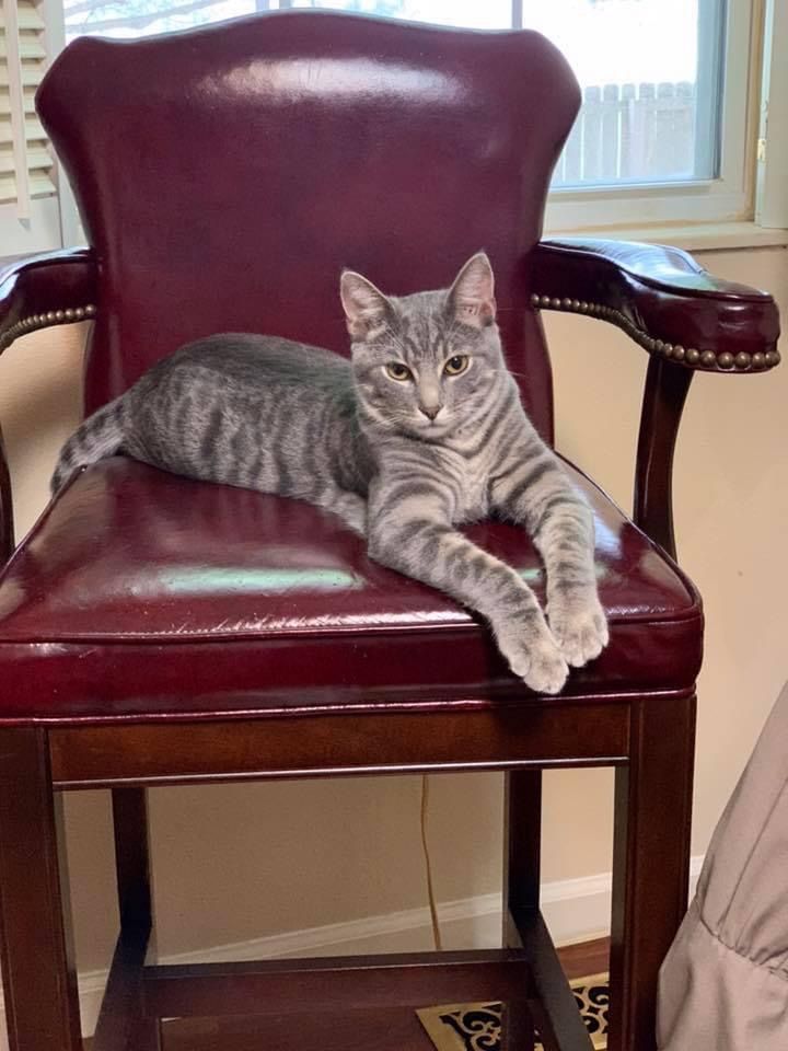 Charlie has the leather throne