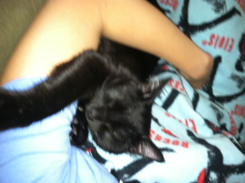 Kit Kat is still a cuddler!