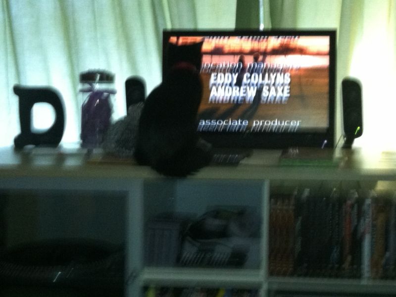 Kit Kat watches too much television!