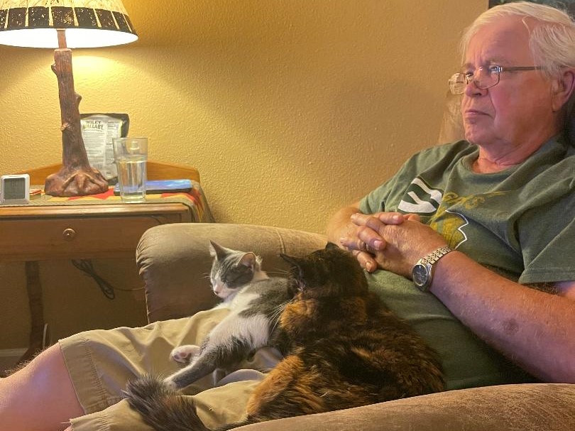 gray and white kitten sleeps on dad's lap with older tortoiseshell cat sister.