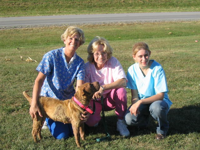 Phoebe dog with GVC vet techs in October 2004