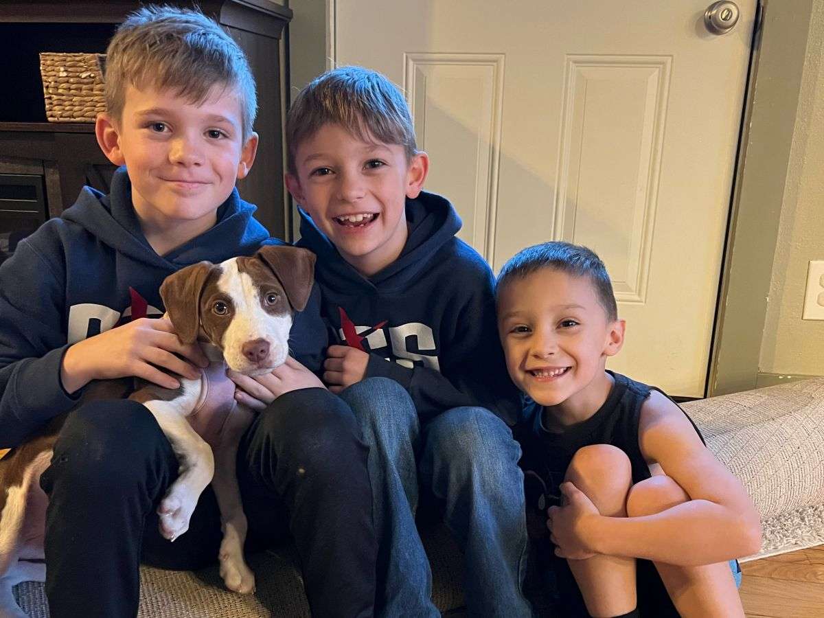 brown and white dog with three human brothers