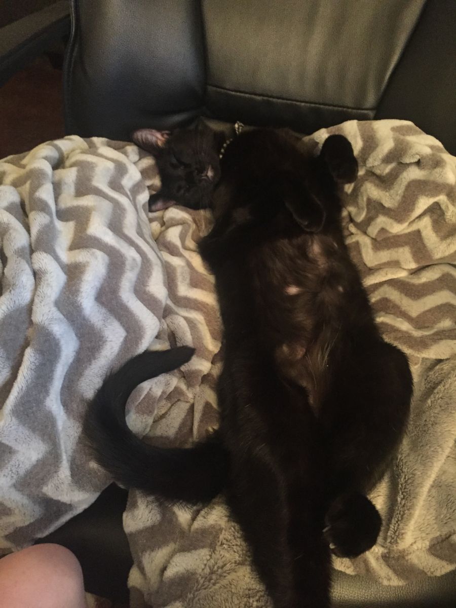 Marceline takes a nap break
