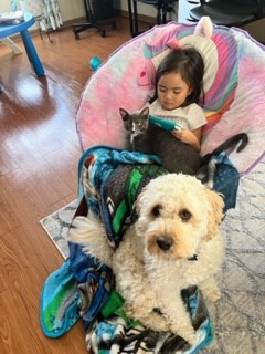 big whie dog and small gray cat sit with toddler girl in unicorn chair