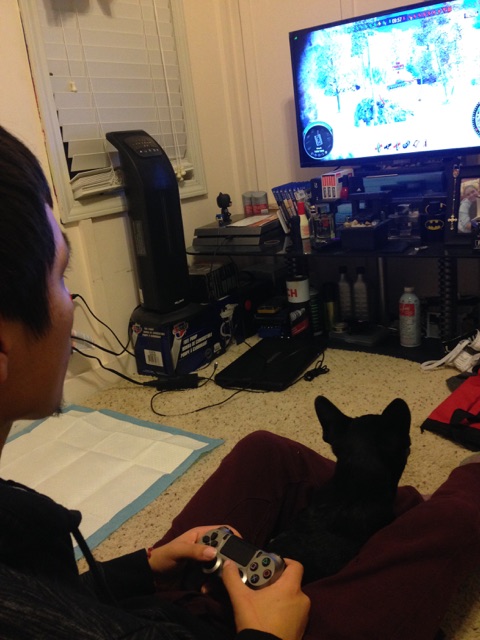 Yuri keeps an eye on dad's video gaming