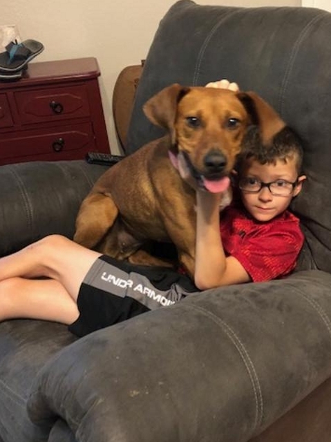 Sable will share her chair with her human brother!