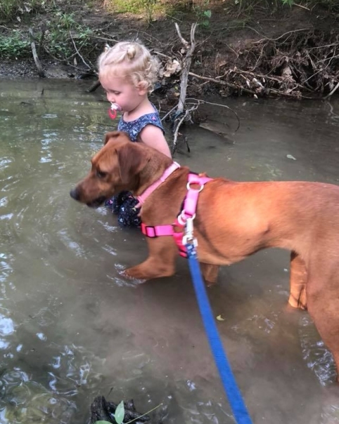 Sable explores the creeks with her human sister!